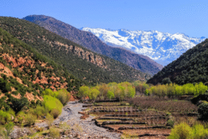 Ourika Valley Day Trip from Marrakech