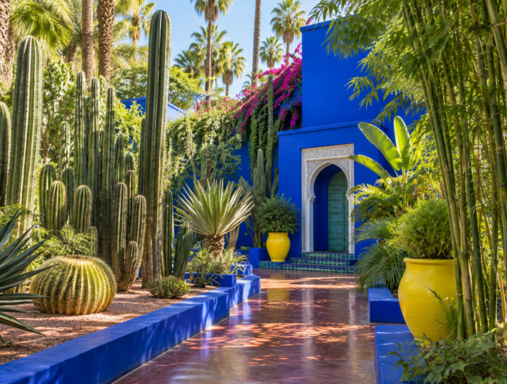 Majorelle Garden