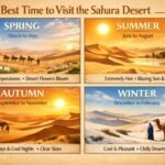 the Best Time to Visit the Sahara Desert: